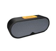 Portable Speaker